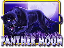 PANTHER MOON