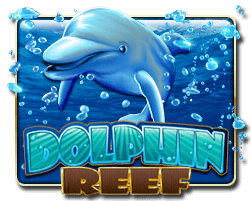 DOLPHIN REEF