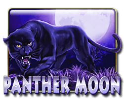 PANTHER MOON
