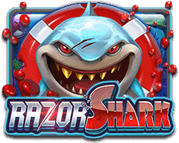 RAZOR SHARK