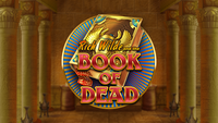 BOOK OF THE DEAD